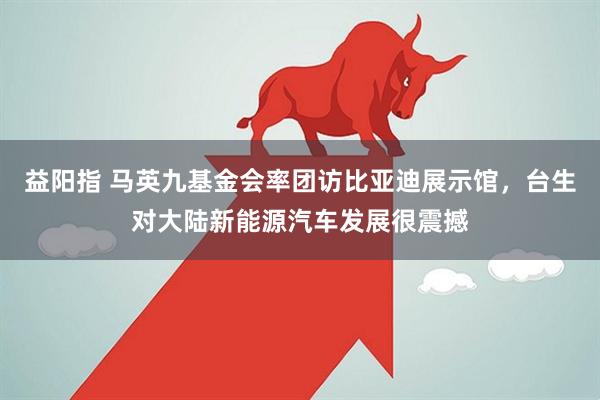 益阳指 马英九基金会率团访比亚迪展示馆，台生对大陆新能源汽车发展很震撼