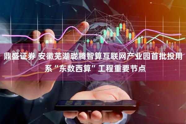 鼎盛证券 安徽芜湖珑腾智算互联网产业园首批投用  系“东数西算”工程重要节点