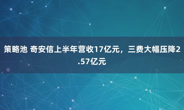 策略池 奇安信上半年营收17亿元，三费大幅压降2.57亿元